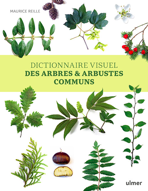 couverture Dictionnaire visuel des arbres et arbustes communs Nvelle éd.