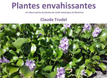 couverture plantes envahissantes