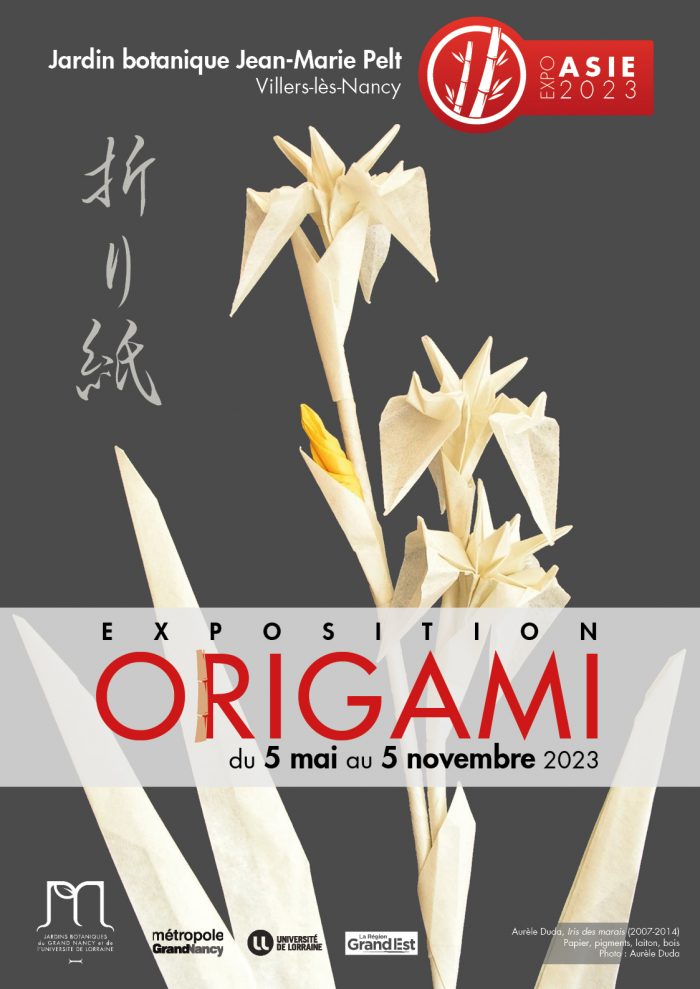 Origami