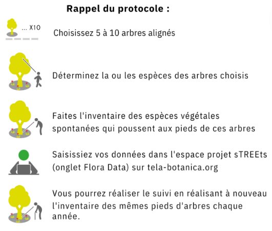 Rappel_protocole