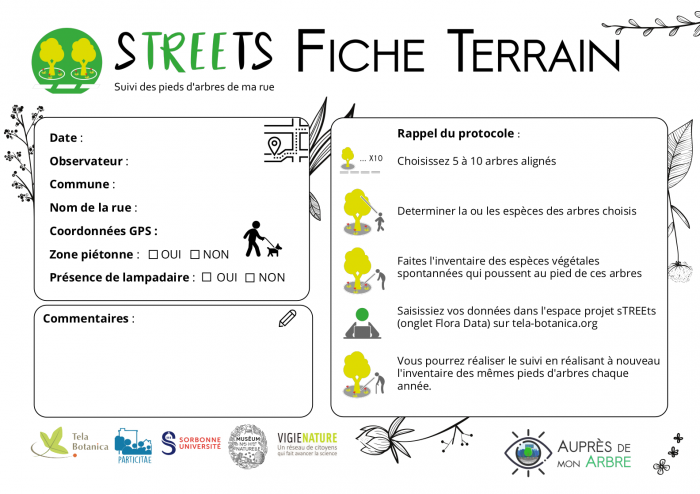 fiche terrain