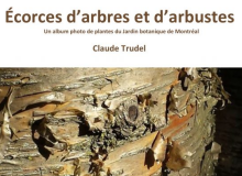 logo Écorces d'arbres et d'arbustes