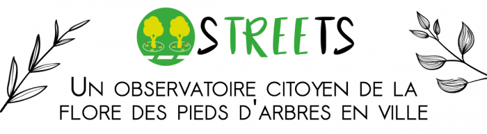 logo sTREEts