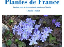 Plantes de France