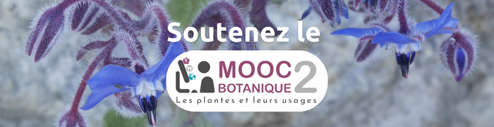 Soutenir le MOOC Bota