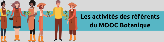 Les activités des référents du MOOC Botanique