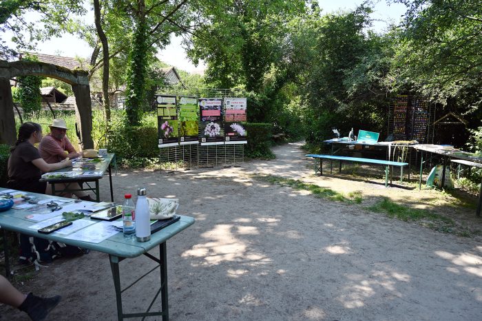 Stand de Tela Botanica et de la Société Botanique d'Alsace lors des Journées de la biodiversité