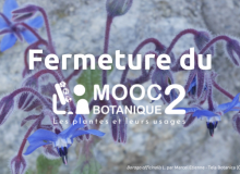 Fermeture du MOOC Bota