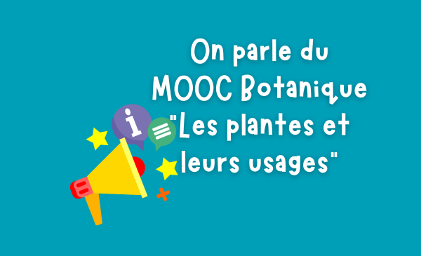 On Parle Du MOOC Botanique « Les Plantes Et Leurs Usages » – Tela Botanica