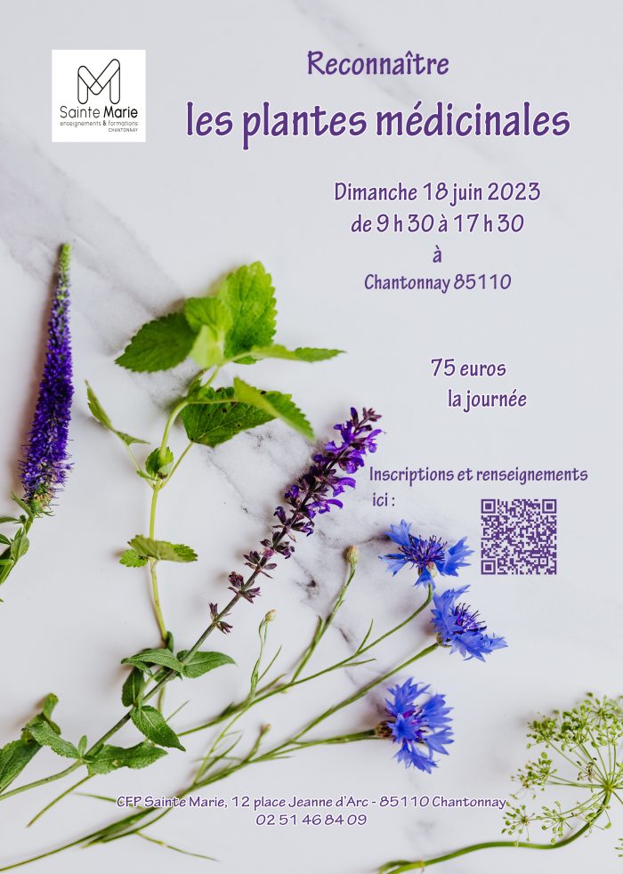 Stage plantes médicinales