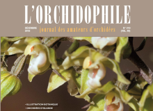 couverture Orchidophile 237