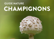 Guide nature des champignons - 420 espèces - Edition Ulmer
