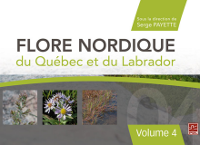 couverture Flore nordique du Québec et du Labrador. Volume 4