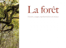 couverture La forêt