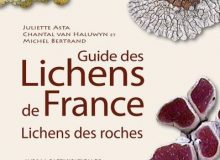 couverture Guide des lichens de France - Lichens des roches