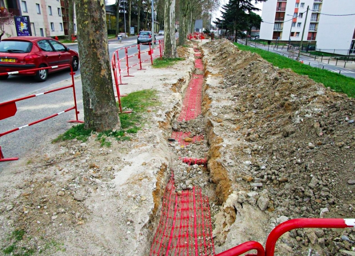 Tranchée ayant détérioré les racines des platanes