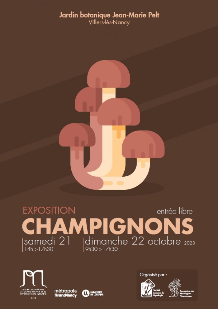 Exposition Champignons