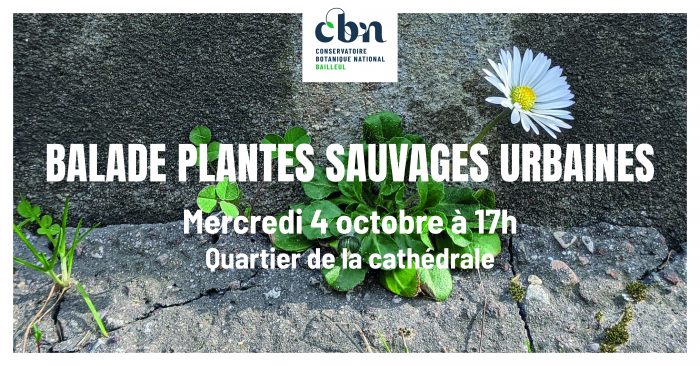 sortie du 04.10.2023