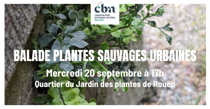 sortie du 20.09.2023