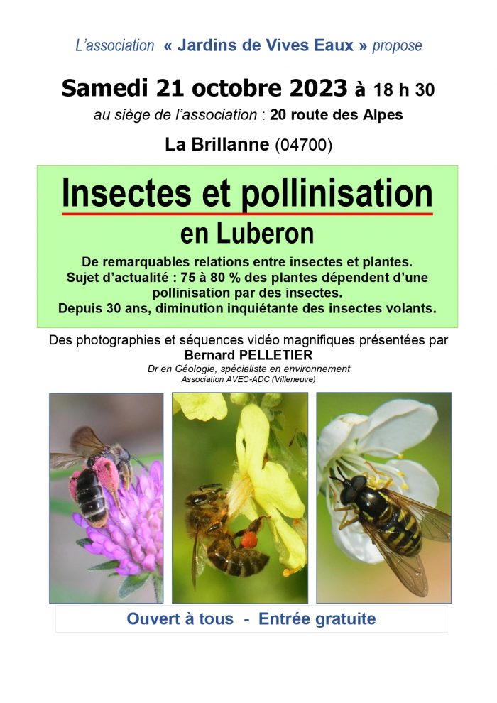 Affiche Insectes & Pollinisation oct2023 R (1)_page-0001 (1)