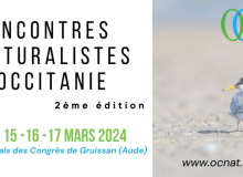 Rencontres naturalistes OcNat 2024