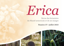 logo couverture erica 35