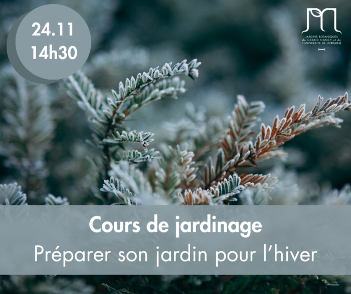 Préparer son jardin pour l'hiver