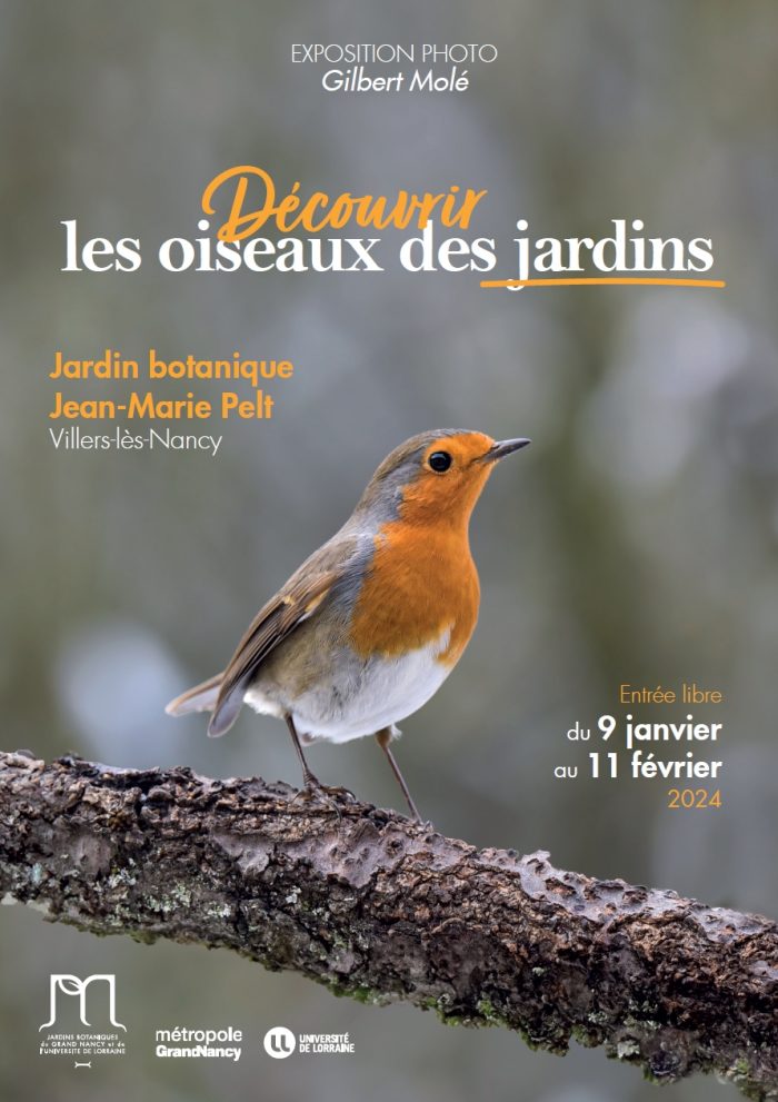 Oiseaux des jardins - Gilbert Molé