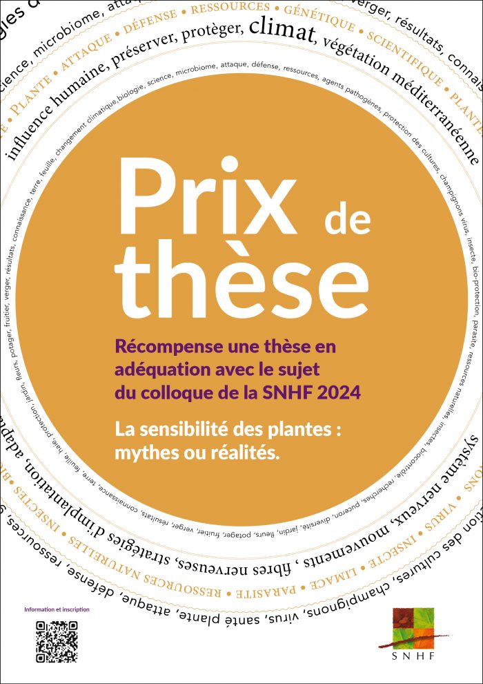 affiche_prix_these_20242