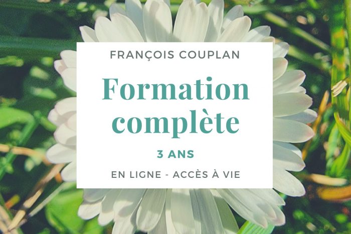 formation en ligne - acces