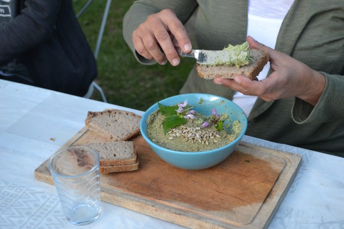 Stage cuisine sauvage La Petite Serpette Perigord