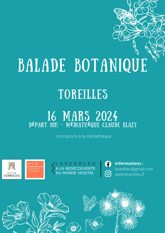 balade-botanique-toreilles-leverbleu