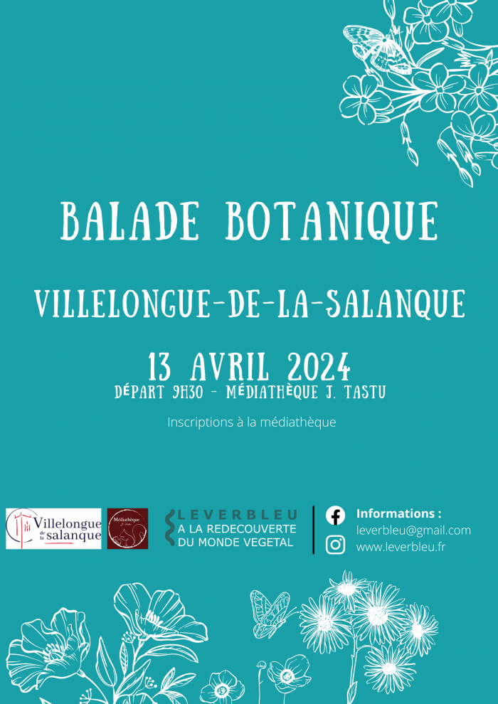 balade-botanique-villelonguesdelesalanque-leverbleu