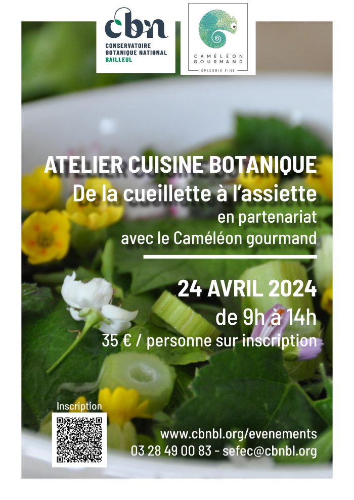 Atelier cuisine botanique Caméléon 22.04.2024