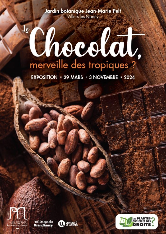 Expo Chocolat