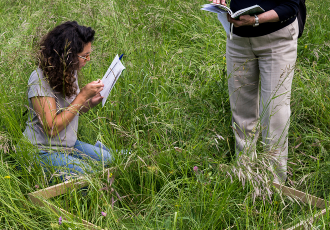 Photo de deux personnes consultant une clé d'identification sur le terrain