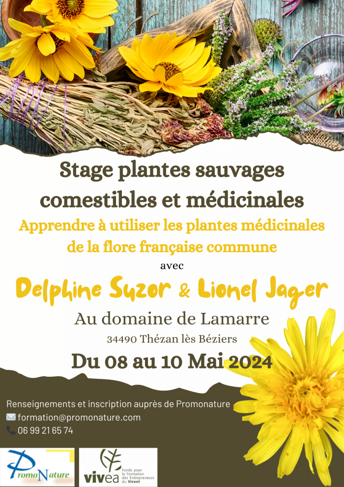 Stage plantes sauvages comestibles et médicinales