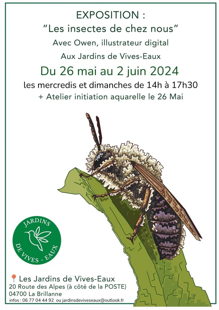 Expo Owen Insectes de chez nous