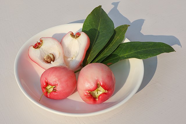 Syzygium_fruit