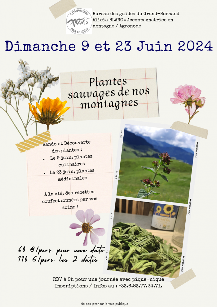 flyer-dimjuin2024