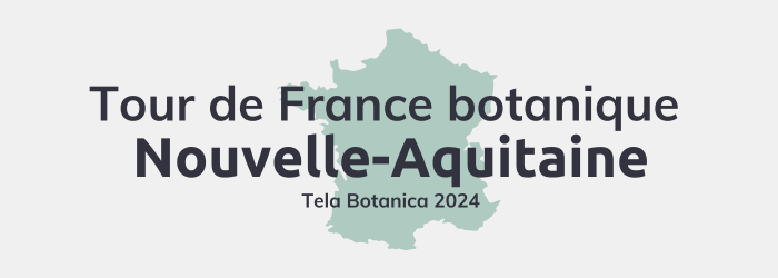 Tour de France Nouvelle Aquitaine
