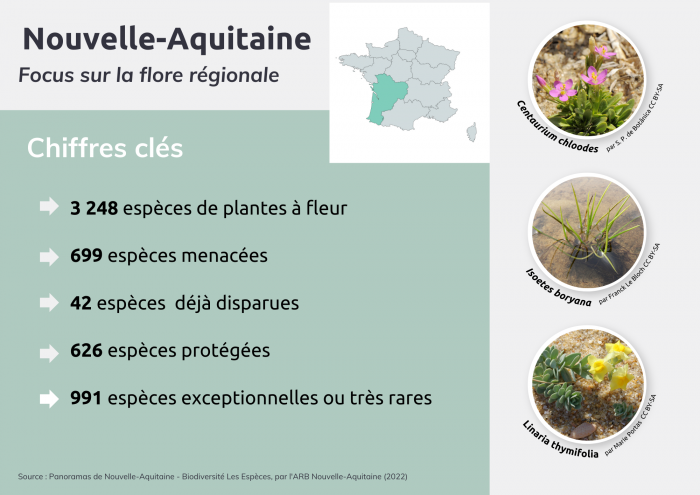 Tour de France botanique - Flore Nouvelle aquitaine