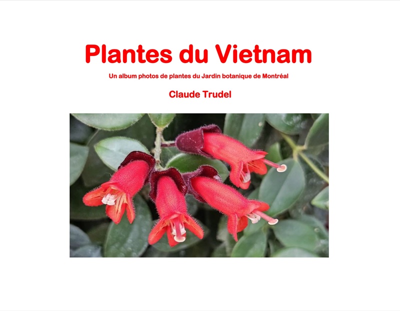 Plantes du Vietnam