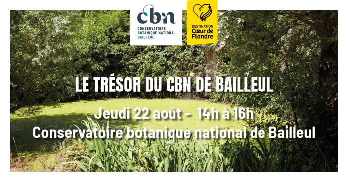 Le trésor du CBN de Bailleul