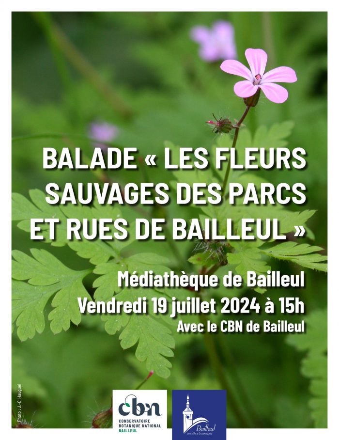 Balade été médiathèque Bailleul