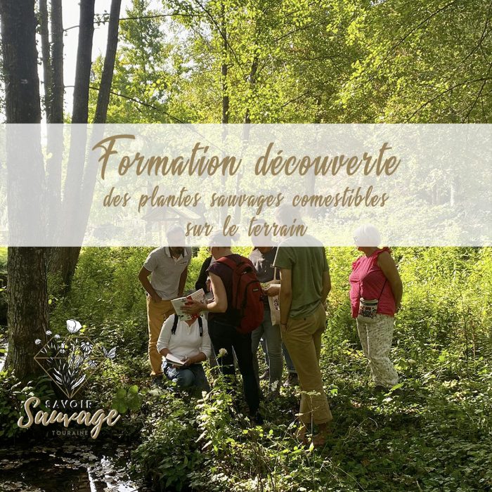 Formation-decouverte-terrain