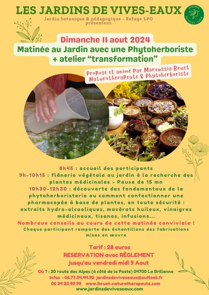 matinée Phyto 11 aout