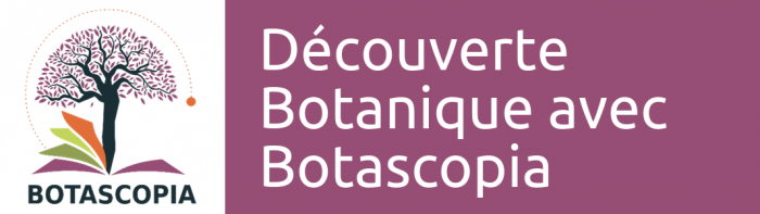 Bandeau Botascopia