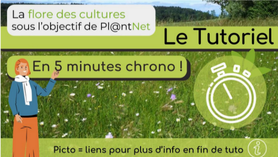 La flore des cultures-tuto