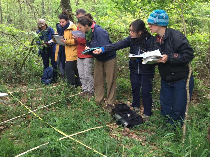 Journée régionale Vigie-Flore 2024 dans la forêt de Bouconne (34), par Vanessa Lainé